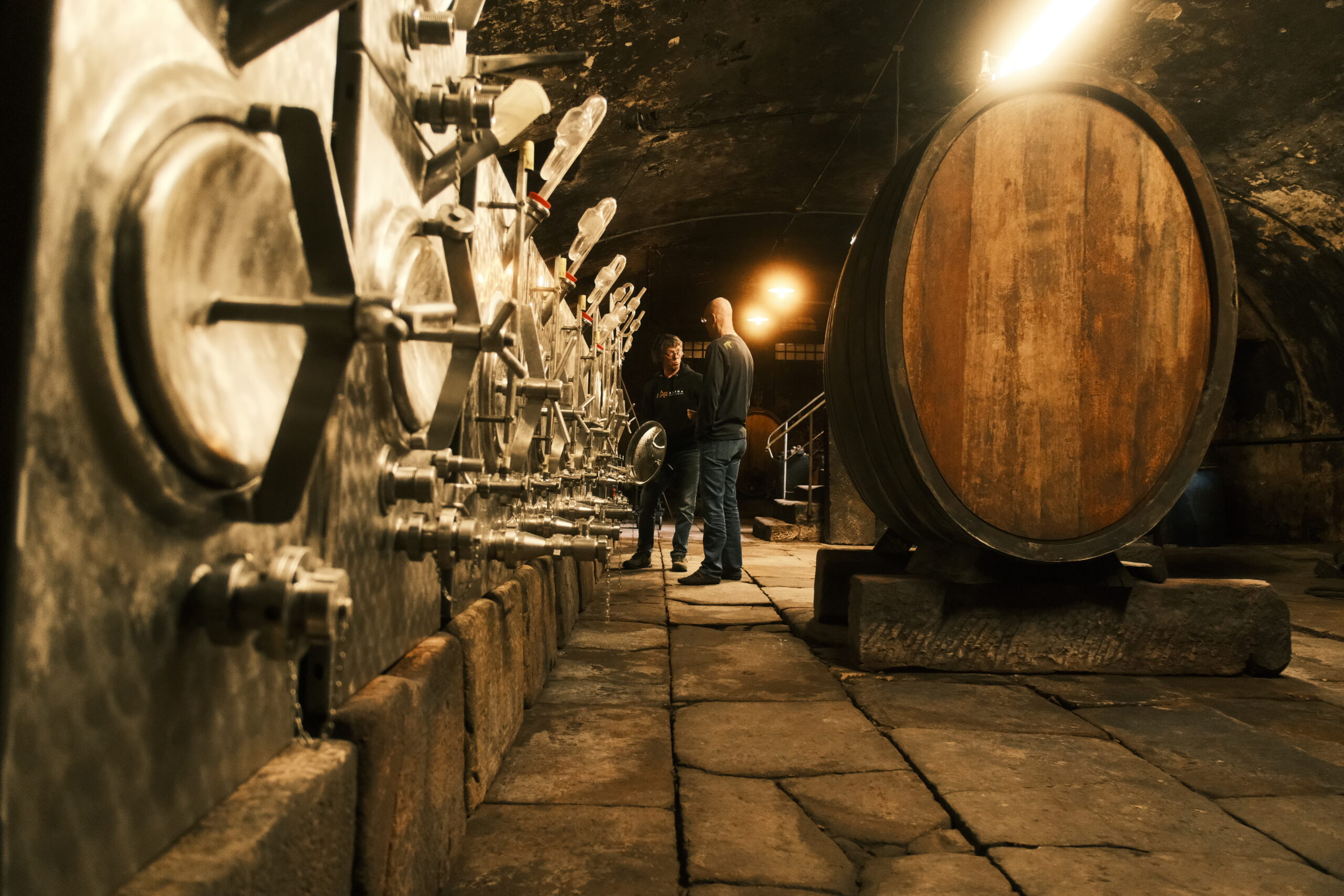 Ontdek de Rijn: De Wieg van de Duitse Wijn