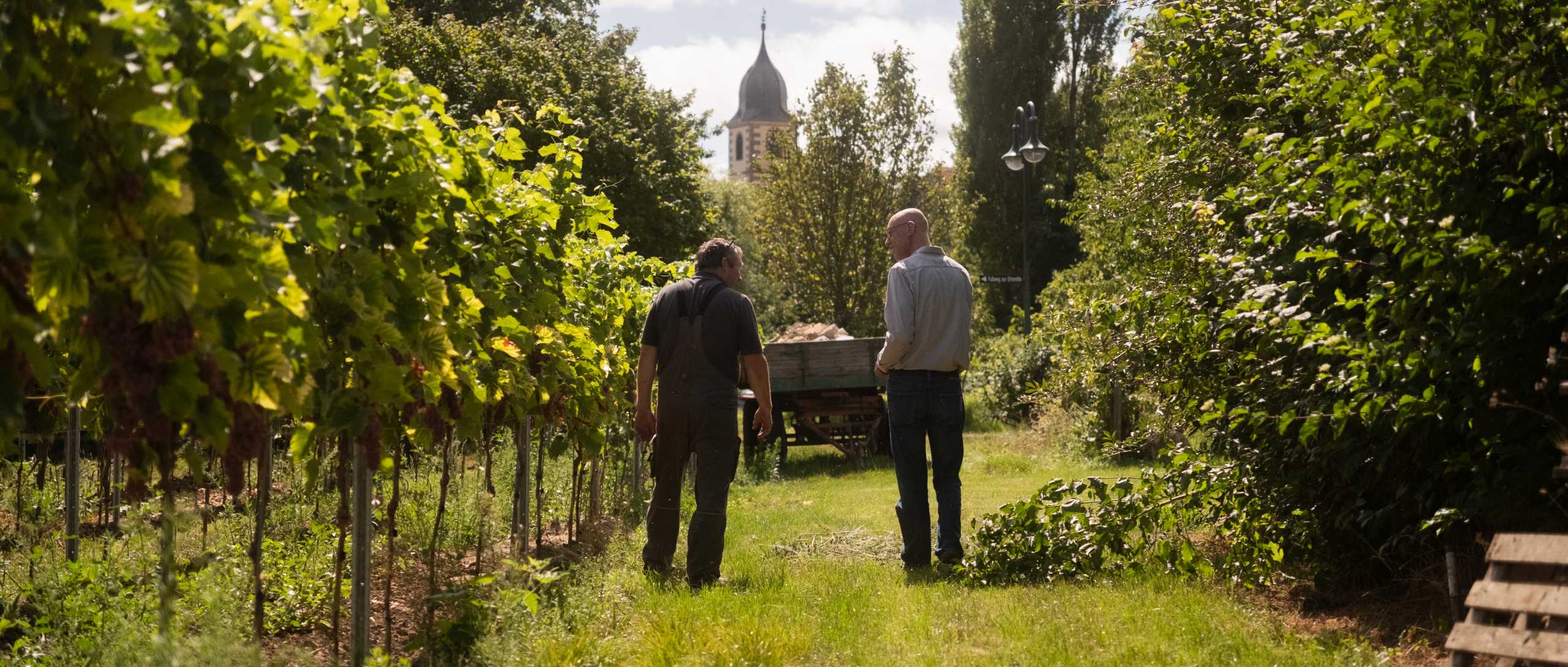 Het Hartenfels selectieproces